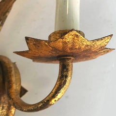 Pair of Ferrocolor Sconces