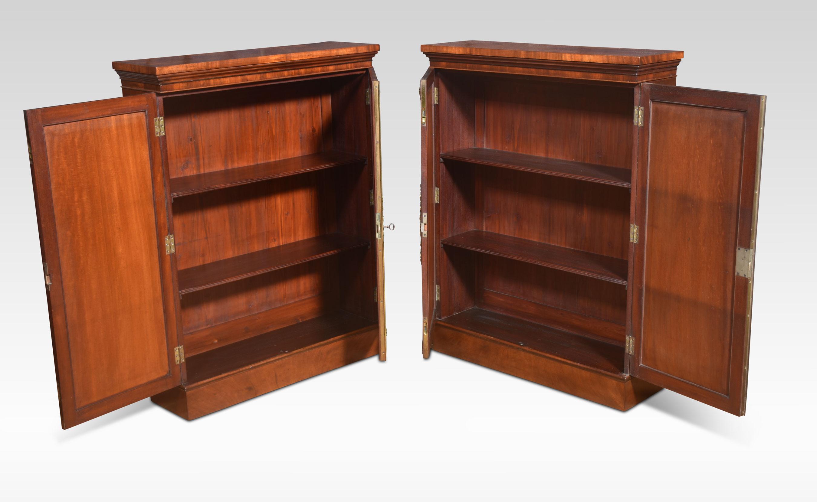 British Pair of figured mahogany cabinet For Sale