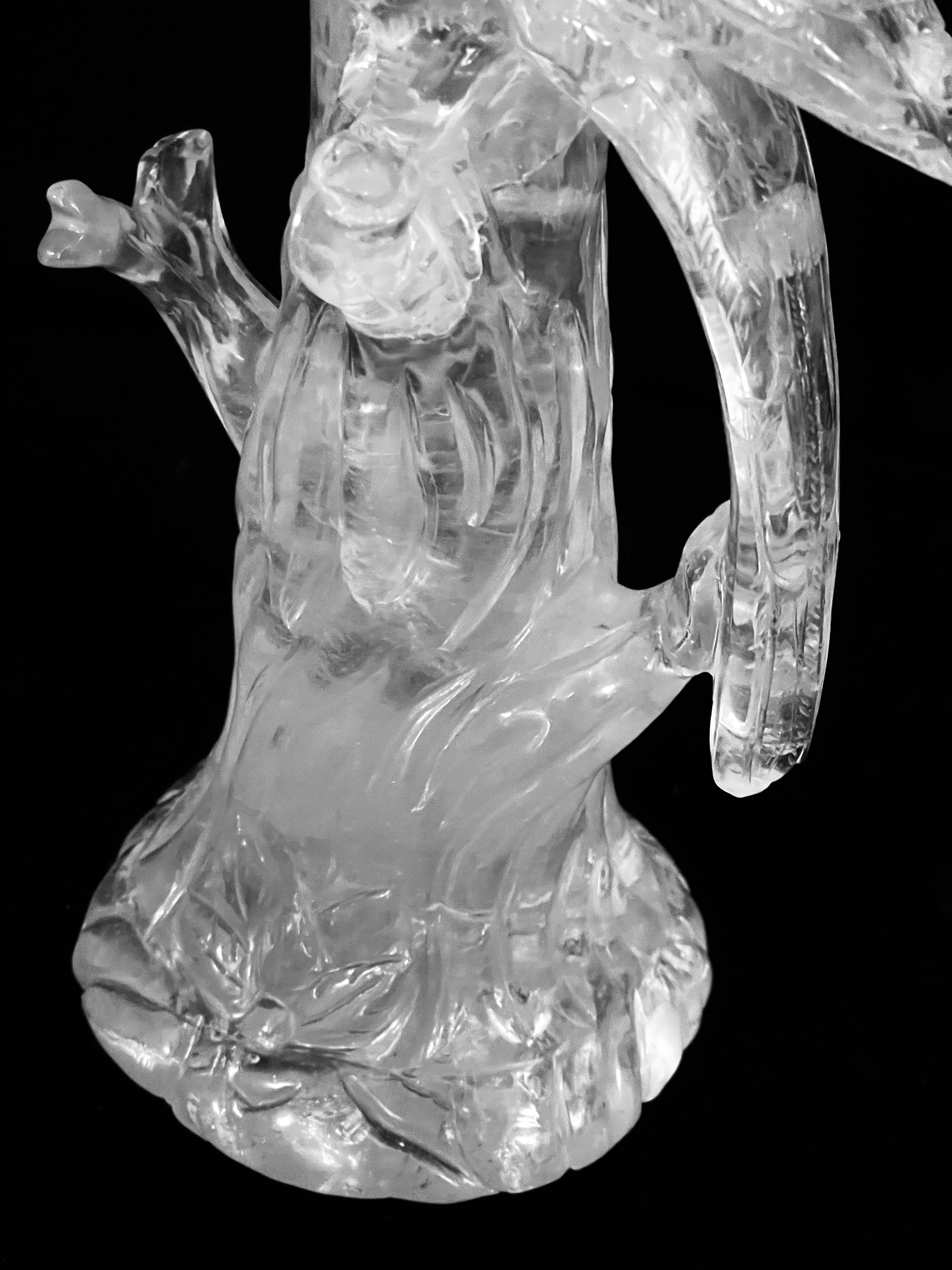 Pair of Fine Large Carved Rock Crystal parrots For Sale 13