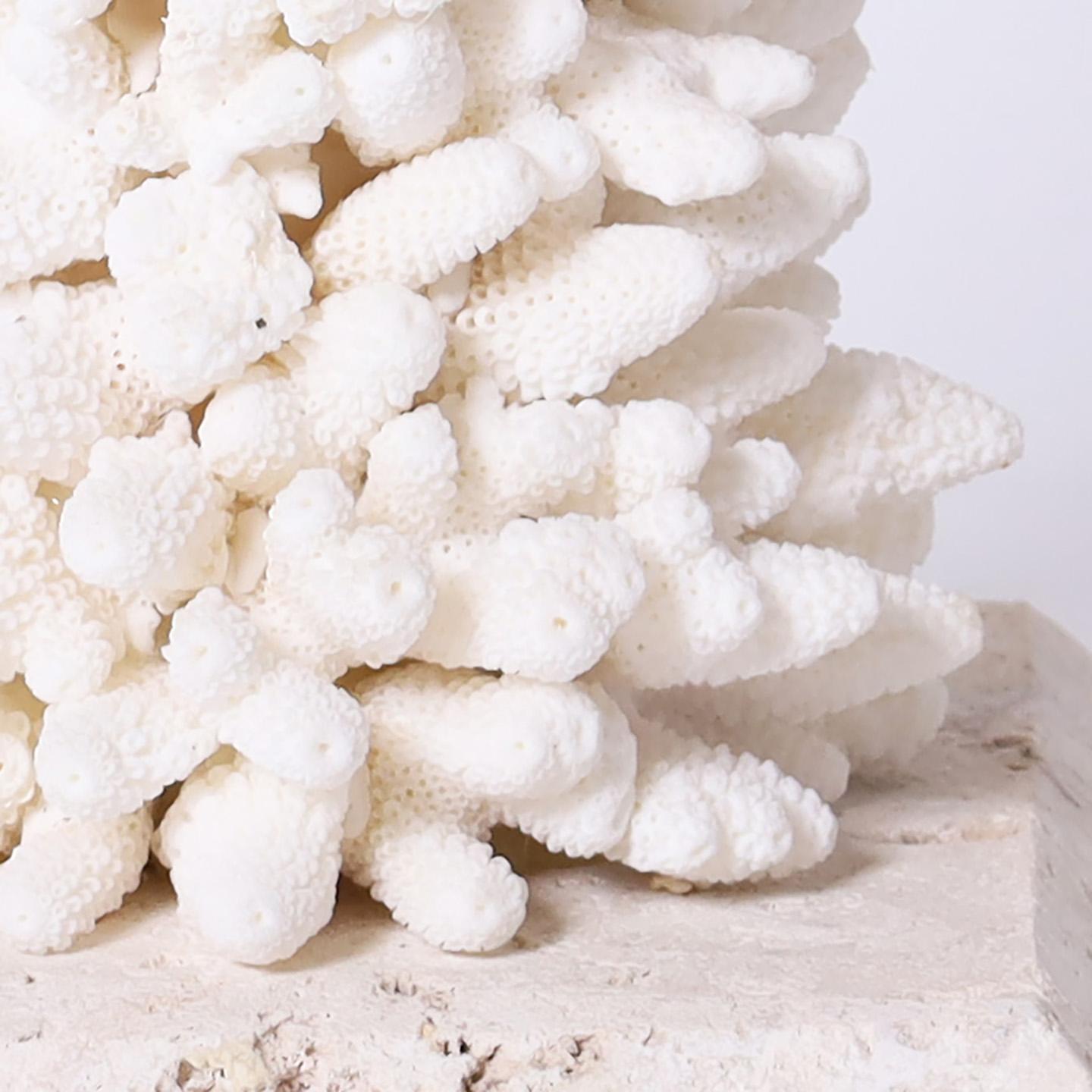 American Pair of Finger Coral Table Lamps