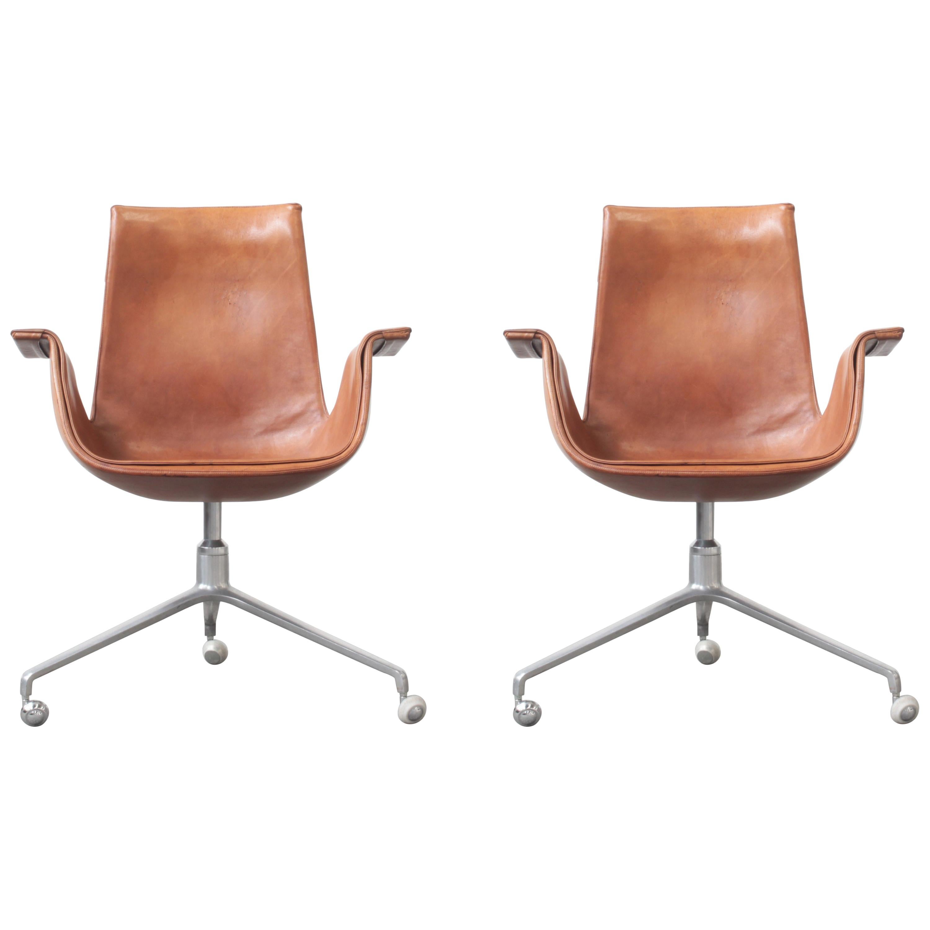 Fk Tulip 11 For Sale on 1stDibs