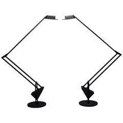 Pair of 'Flamingo' Counterweight Table Lamps by Fridolin Naef for Luxo, Italy