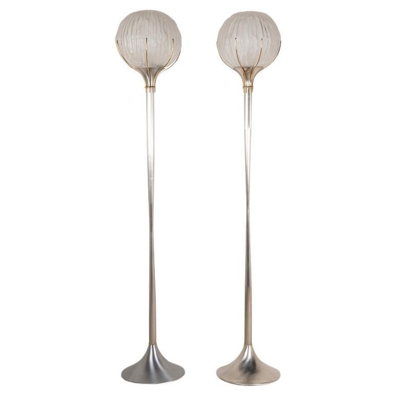 Pair of floor lamps - Angelo Brotto 1960 For Sale