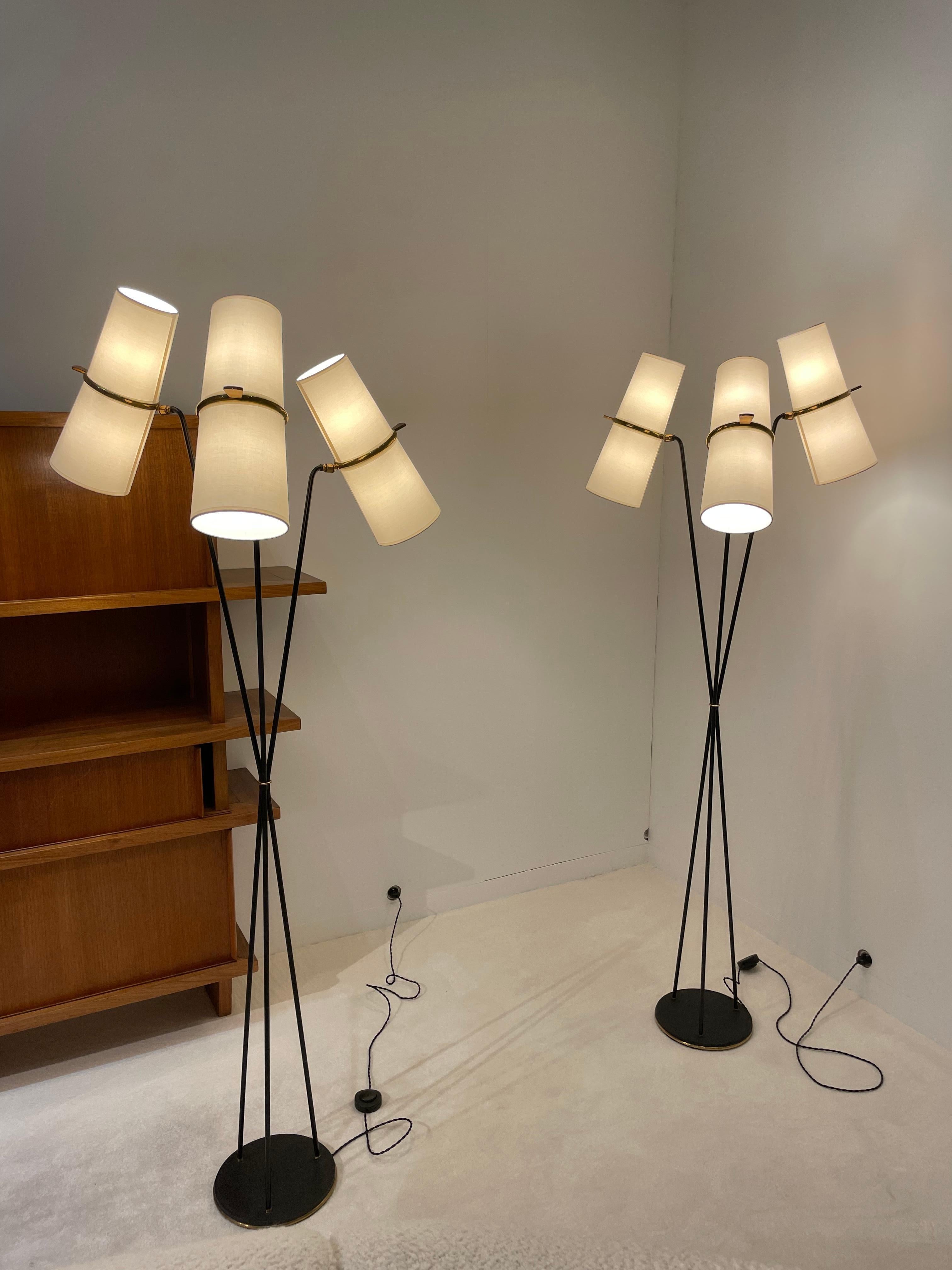 Pair of Floor Lamps by Lunel 3