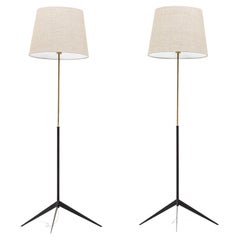 Pair of Floor Lamps Model G-30 R Designed by Alf Svensson for Bergboms