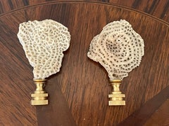 Paire de fragments de corail de mer de Floride utilisés comme embouts de lampe