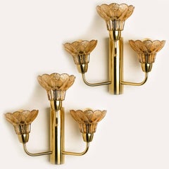 Pair of Flower Glass and Brass Wall Sconces, Germany, 1960s