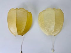 Pair of Flower Shape Cocoon Wall Lamps by Friedel Wauer, 1960s, Germany