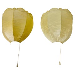 Pair of Flower Shape Cocoon Wall Lamps by Friedel Wauer, 1960s, Germany