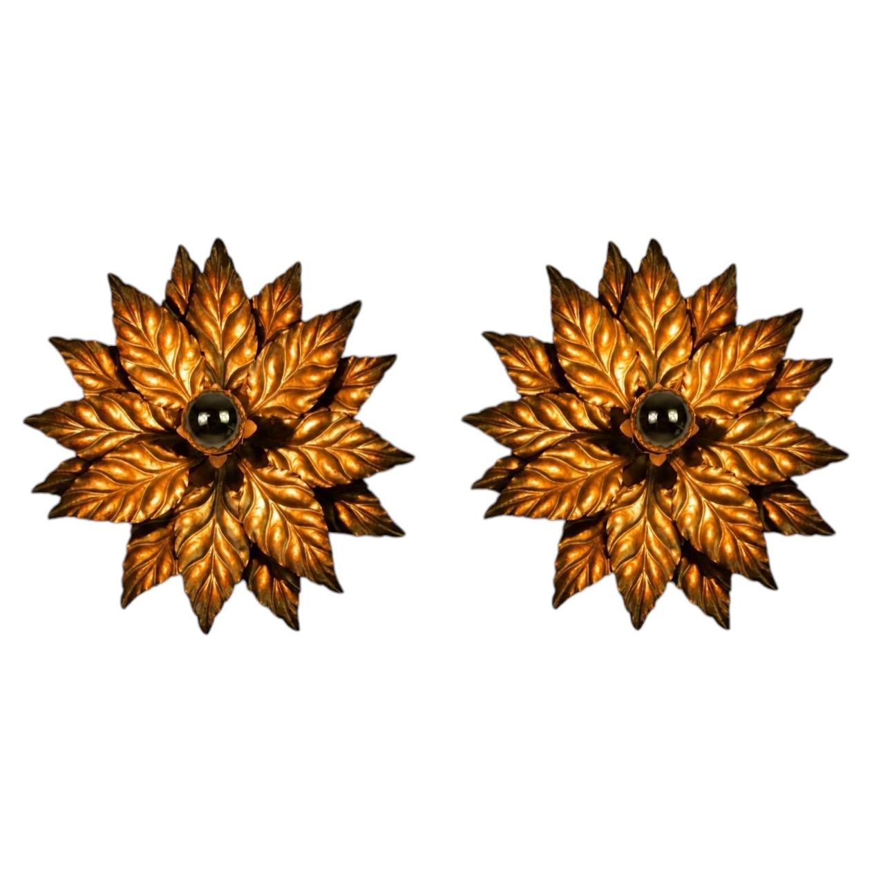 Pair of Flower Shape Wall Lamps or Flush Mounts by Hans Kögl, Germany, 1960s For Sale