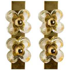 Pair of Flower Wall Lights, Brass and Glass by Sische, 1970s, Germany