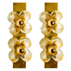 Pair of Flower Wall Lights, Brass and Glass by Sische, 1970s, Germany