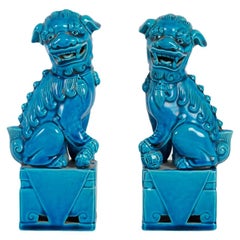 Pair of Fô Dogs in Blue Porcelain, Chinese Work from the End of the 19th Century