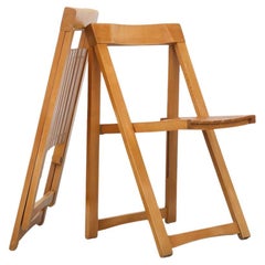 Pair of Folding Chairs by Aldo Jacober for Alberto Bazzani