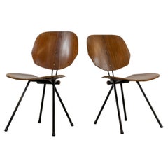 Pair of Folding Chairs S88 by Osvaldo Borsani for Tecno, Italy