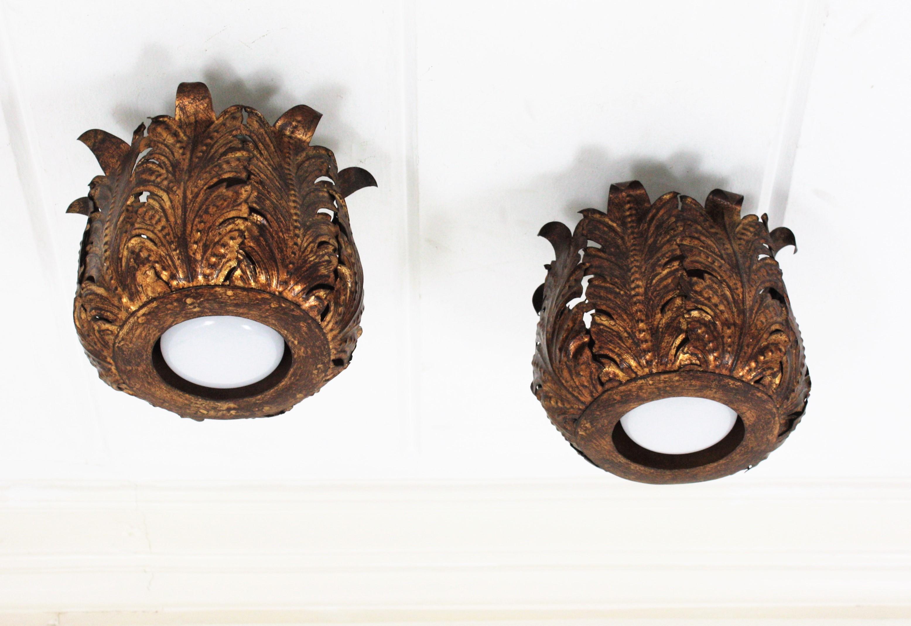 Pair of light fixtures in gilt iron with foliage design. Spain, 1940s.
These eye-catching flush mounts feature an structure made of gilt metal leaves surrounding a central light. They have a terrific patina with their original gold leaf finishing