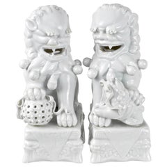 Pair of Foo Dogs in Blanc de Chine, Italy, 1960s