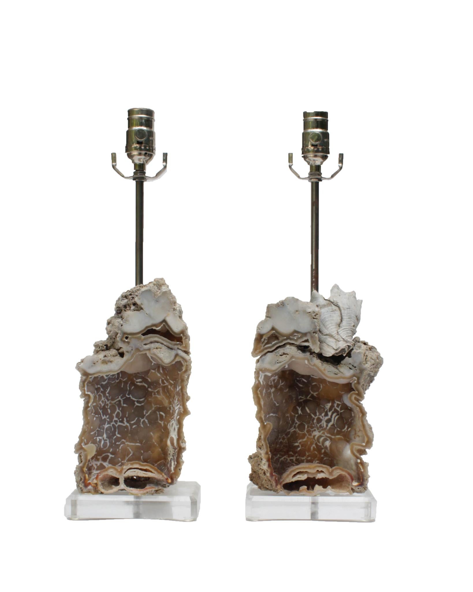 Pair of fossil agate coral lamps with a fossil shell mounted on lucite. 

Fossil agate coral is Florida's state stone and is known for its unique formation that can take place over 20 million years. It's a natural gemstone that is created when