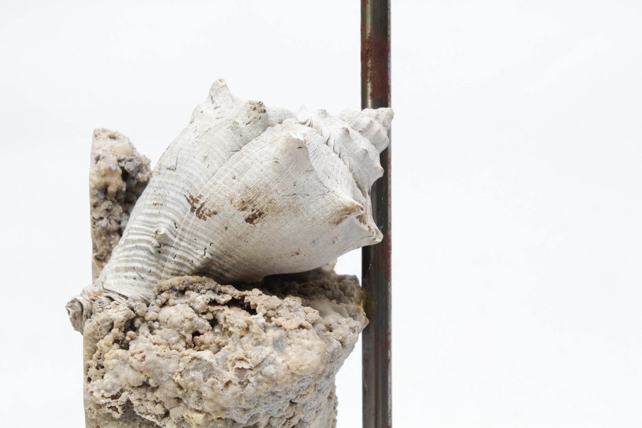Américain Paire de lampes en agate de corail fossile sur lucite
