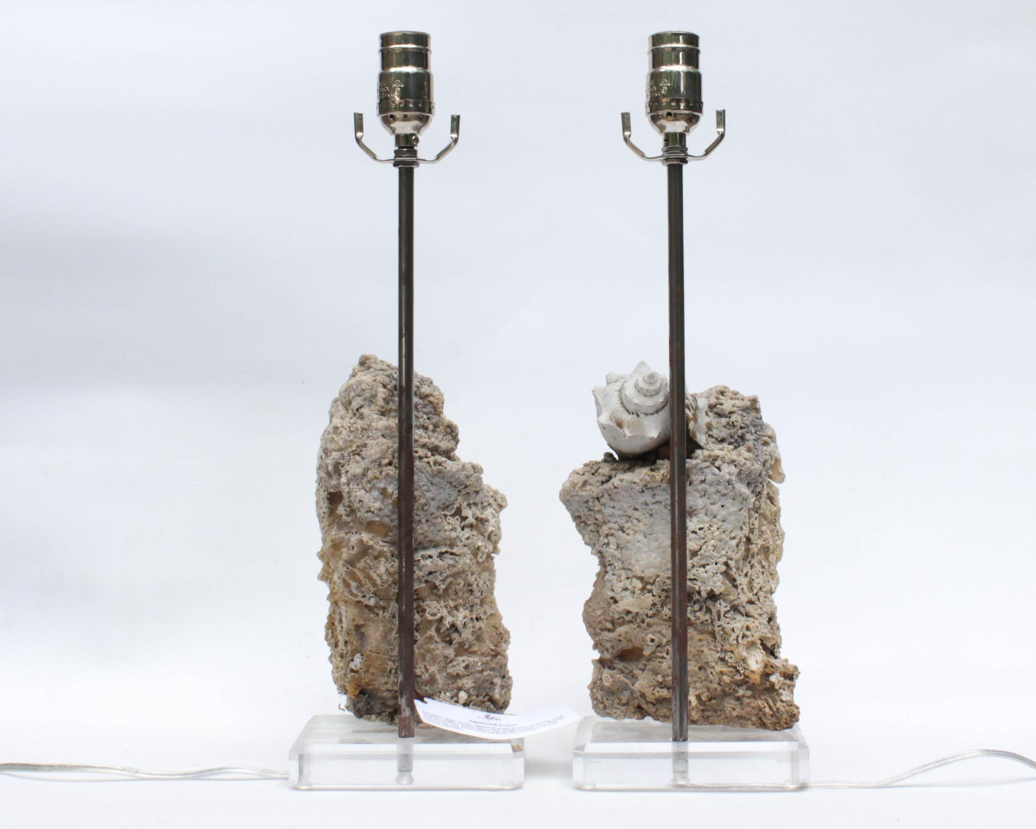 Pair of Fossil Agate Coral Lamps on Lucite 1