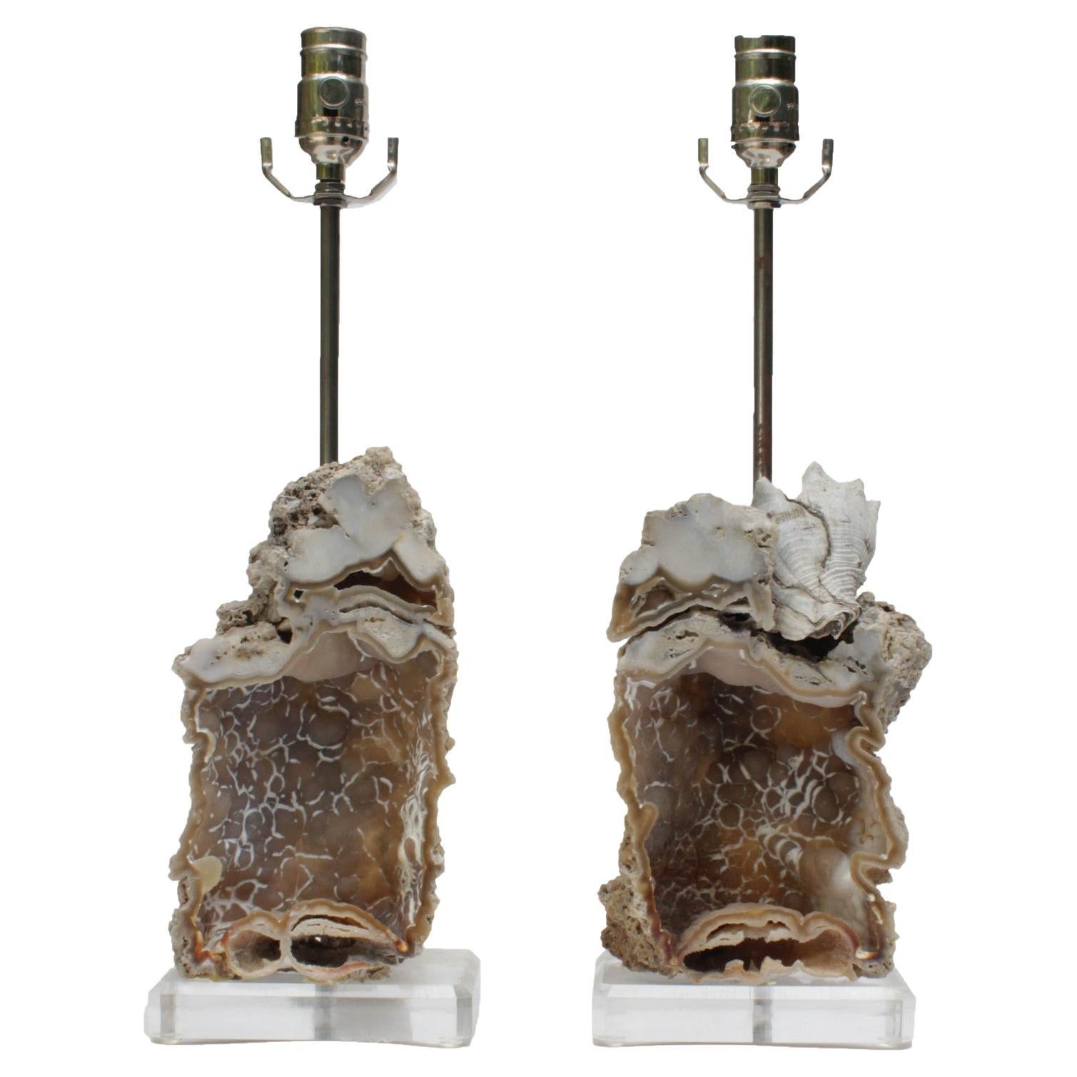 Pair of Fossil Agate Coral Lamps on Lucite