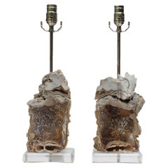 Pair of Fossil Agate Coral Lamps on Lucite