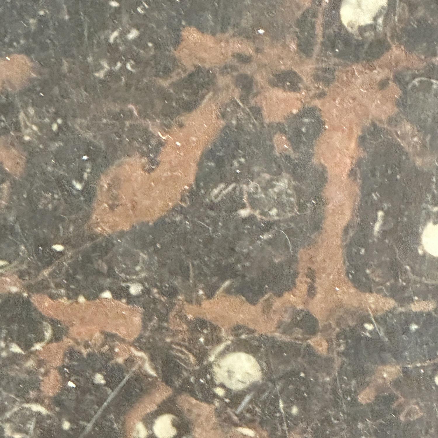Pair of Fossil Stone Coffee Tables by Ronald Schmitt For Sale 4