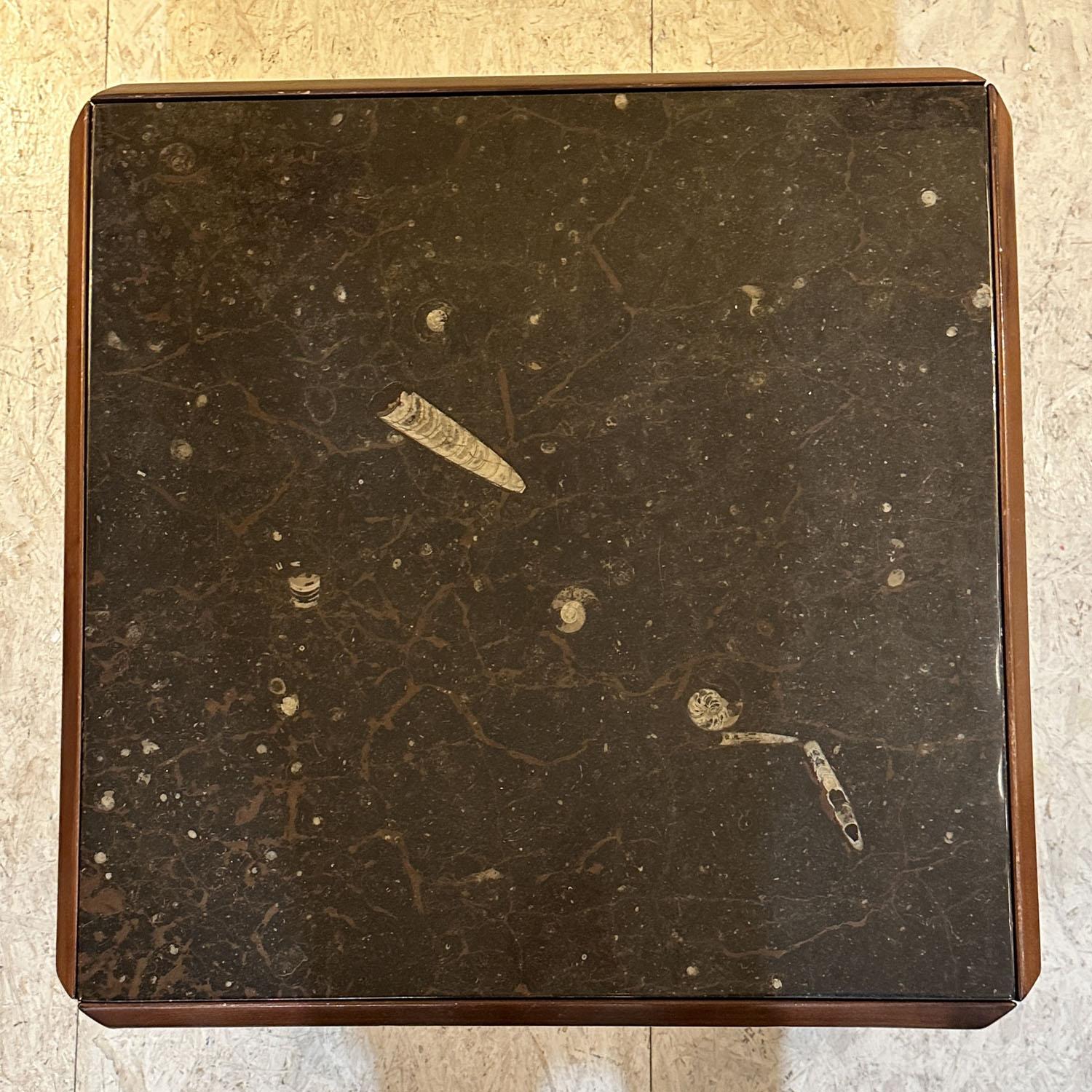 Pair of Fossil Stone Coffee Tables by Ronald Schmitt For Sale 2