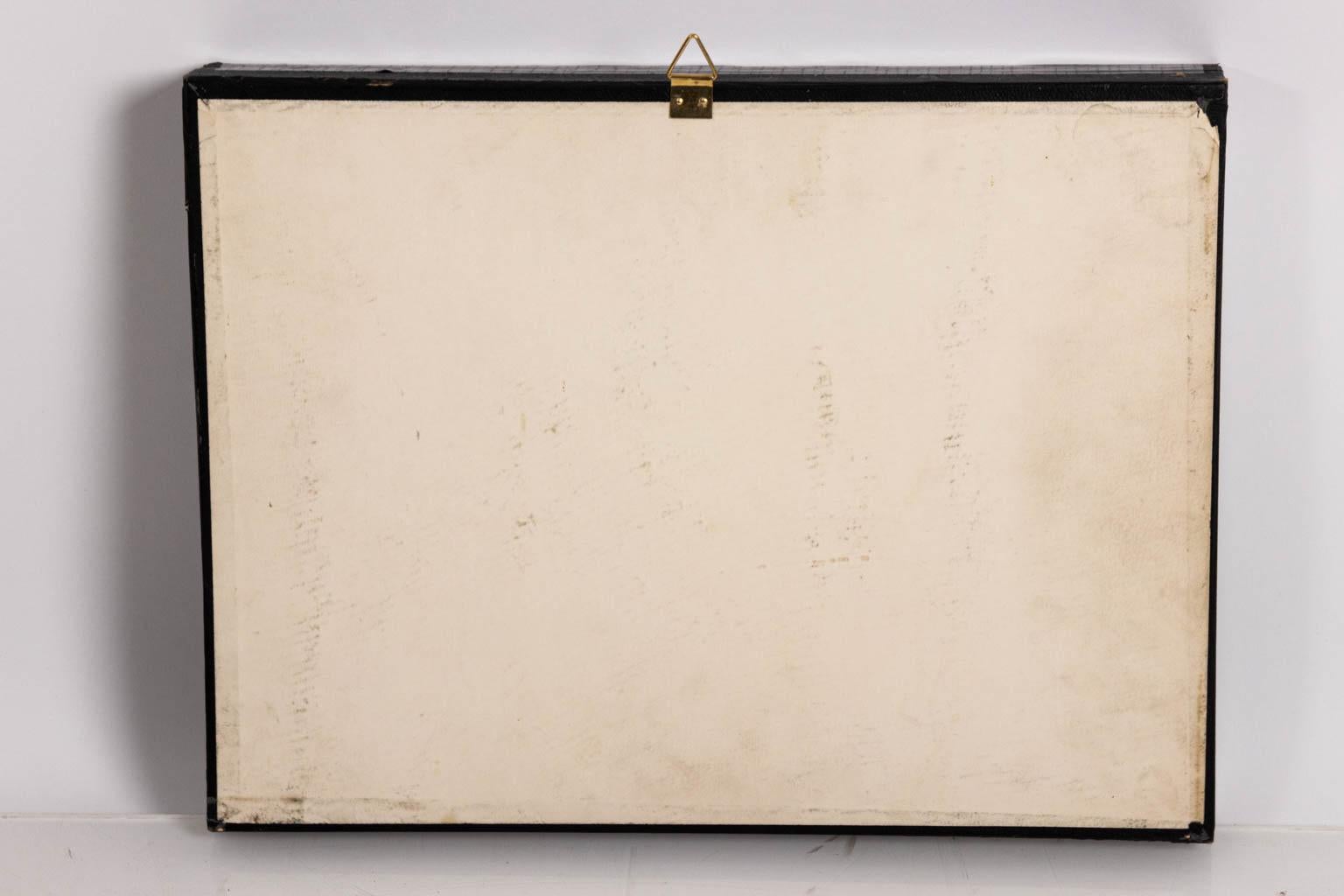 Paire de collections de papillons encadrées du 20ème siècle 1