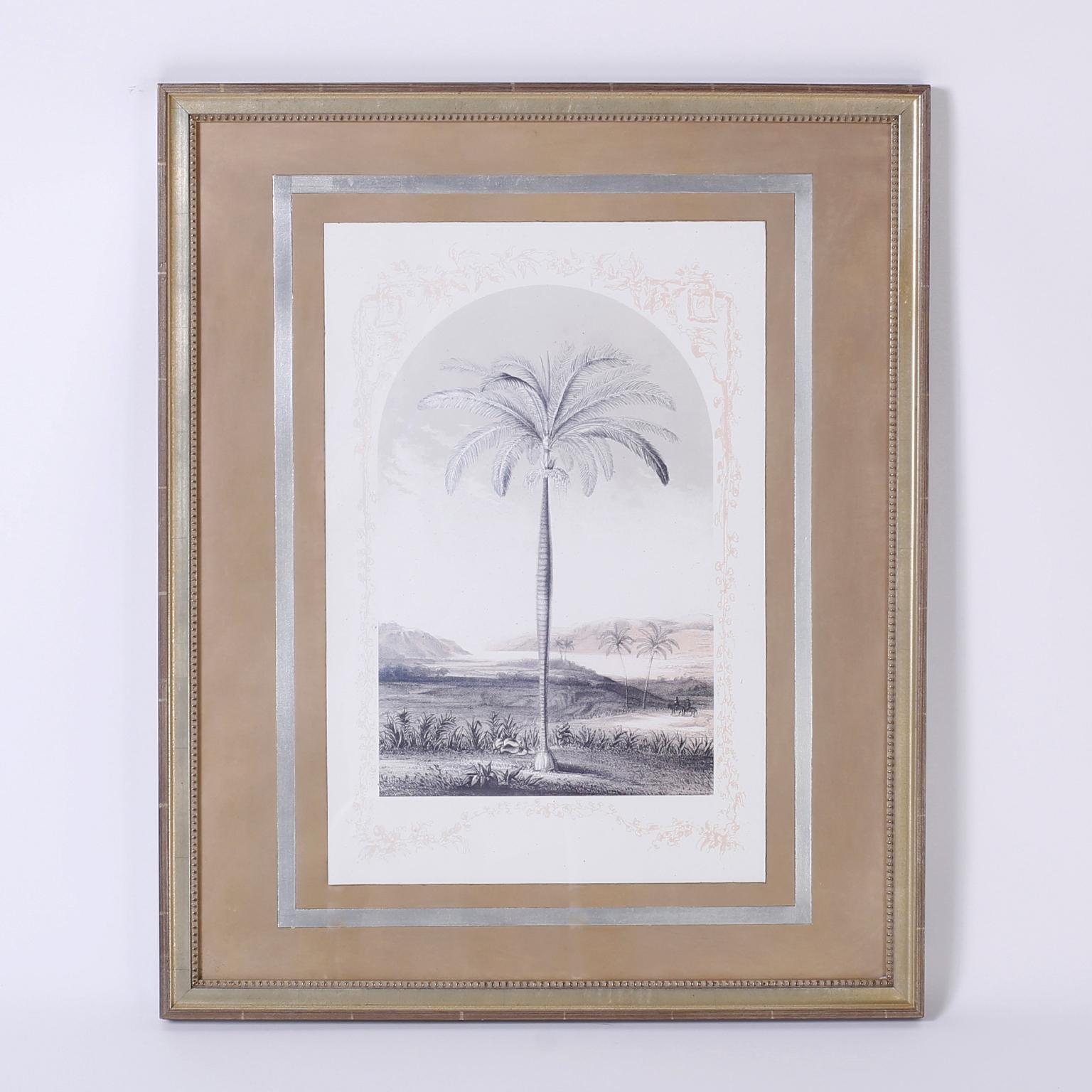 Pair of scholastic style dome shaped lithographs depicting Palm Tree species in their natural Habitat, matted and presented in carved wood gold leaf frames.