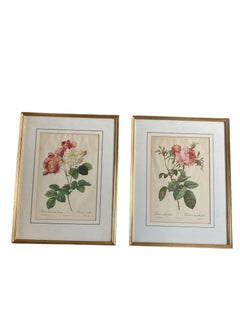 Pair of framed botanical prints by French floral Pierre Joseph Redoute 1759–1824