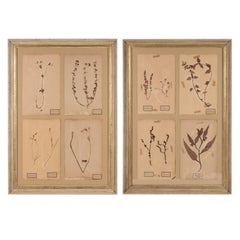 Folk Art Decorative Art