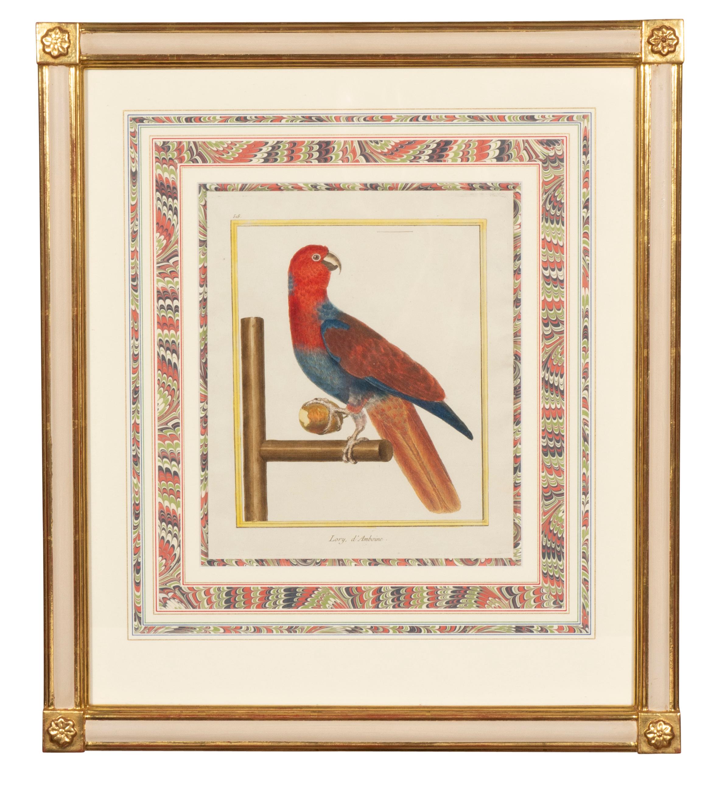 Exquisitely framed. Water gilded frames. Hand colored birds. Marbled matting.