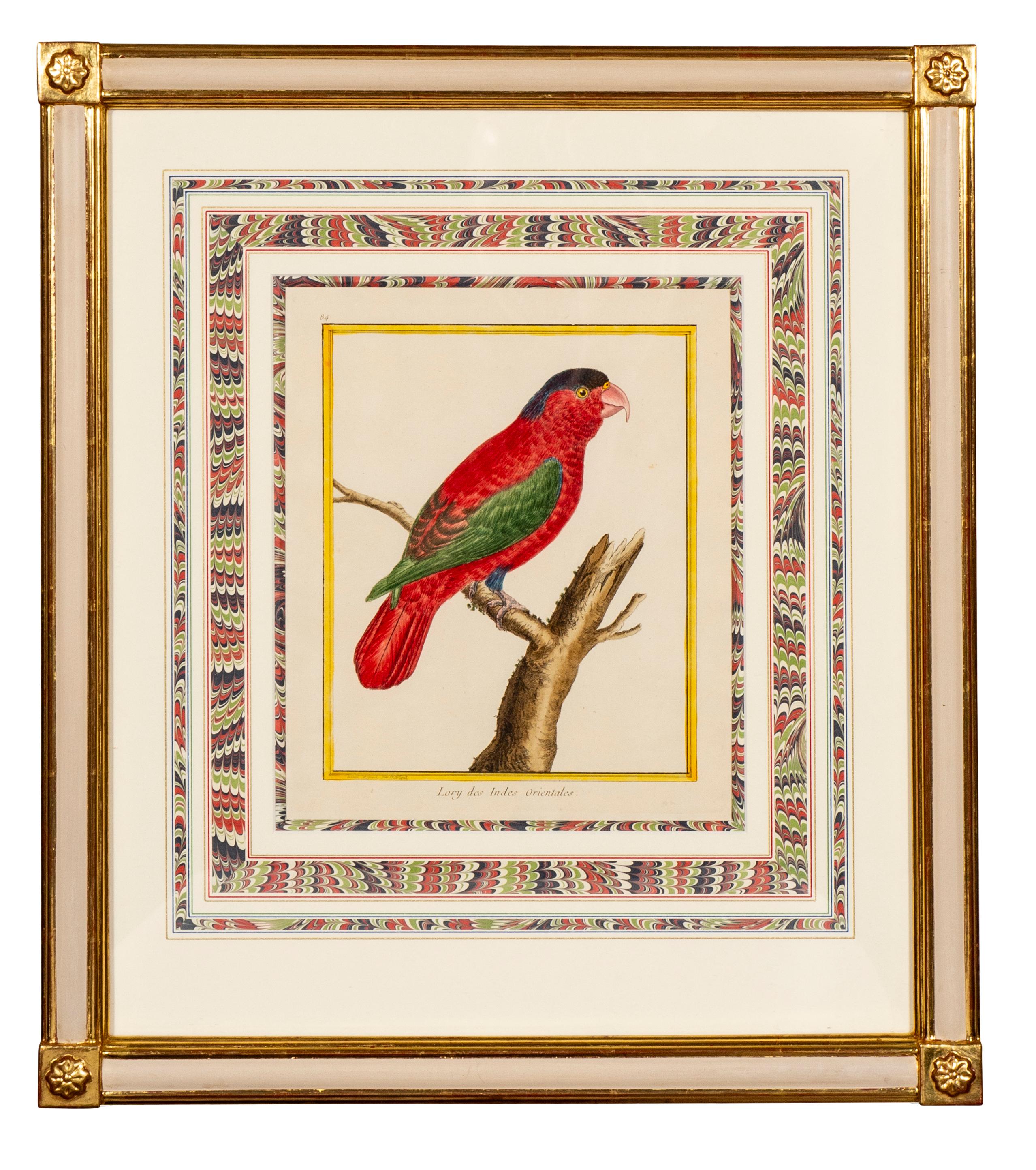 Painted Pair Of Framed Martinet Parrots For Sale