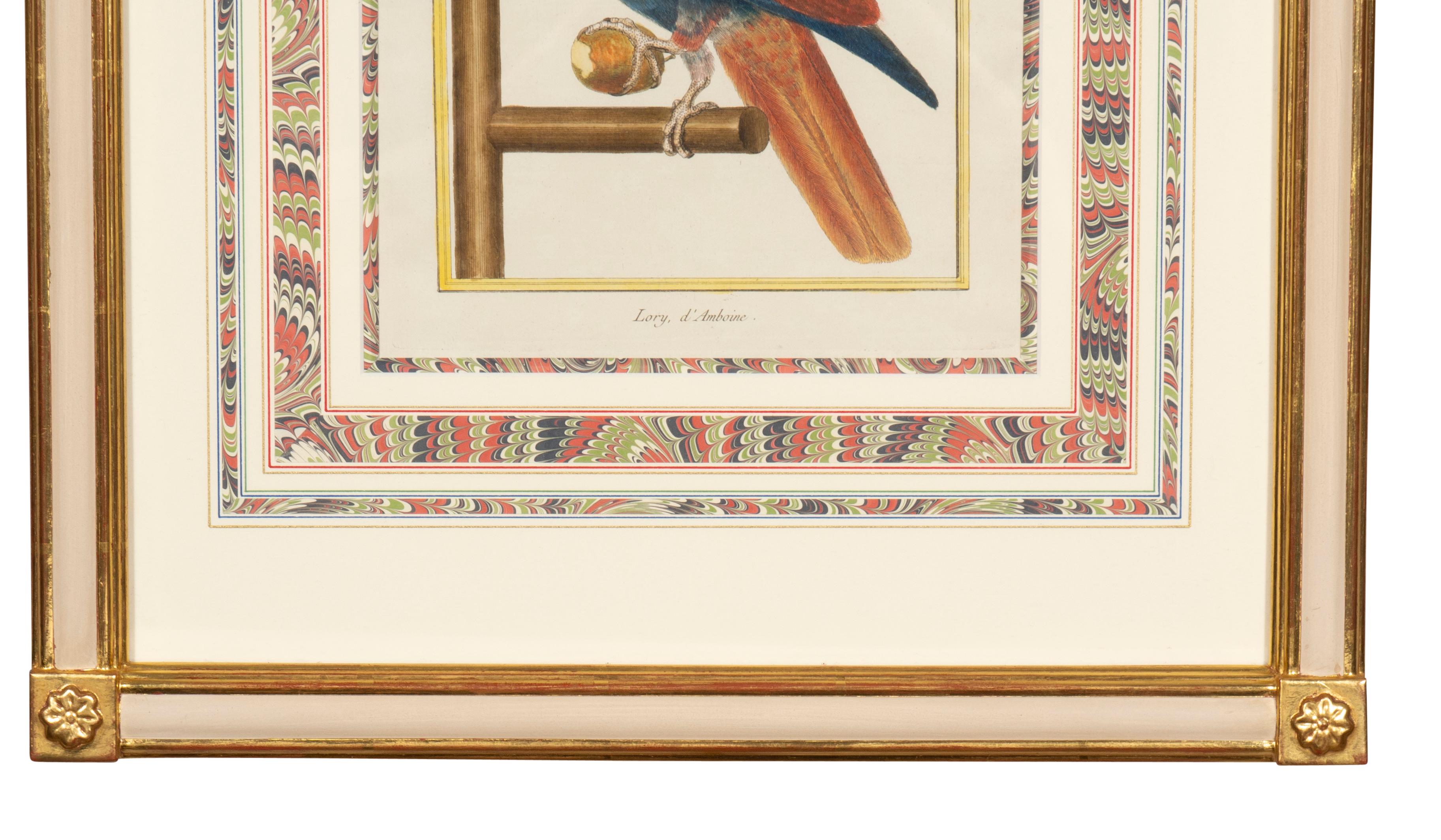 Giltwood Pair Of Framed Martinet Parrots For Sale