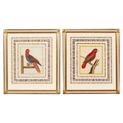 Antique Pair Of Framed Martinet Parrots