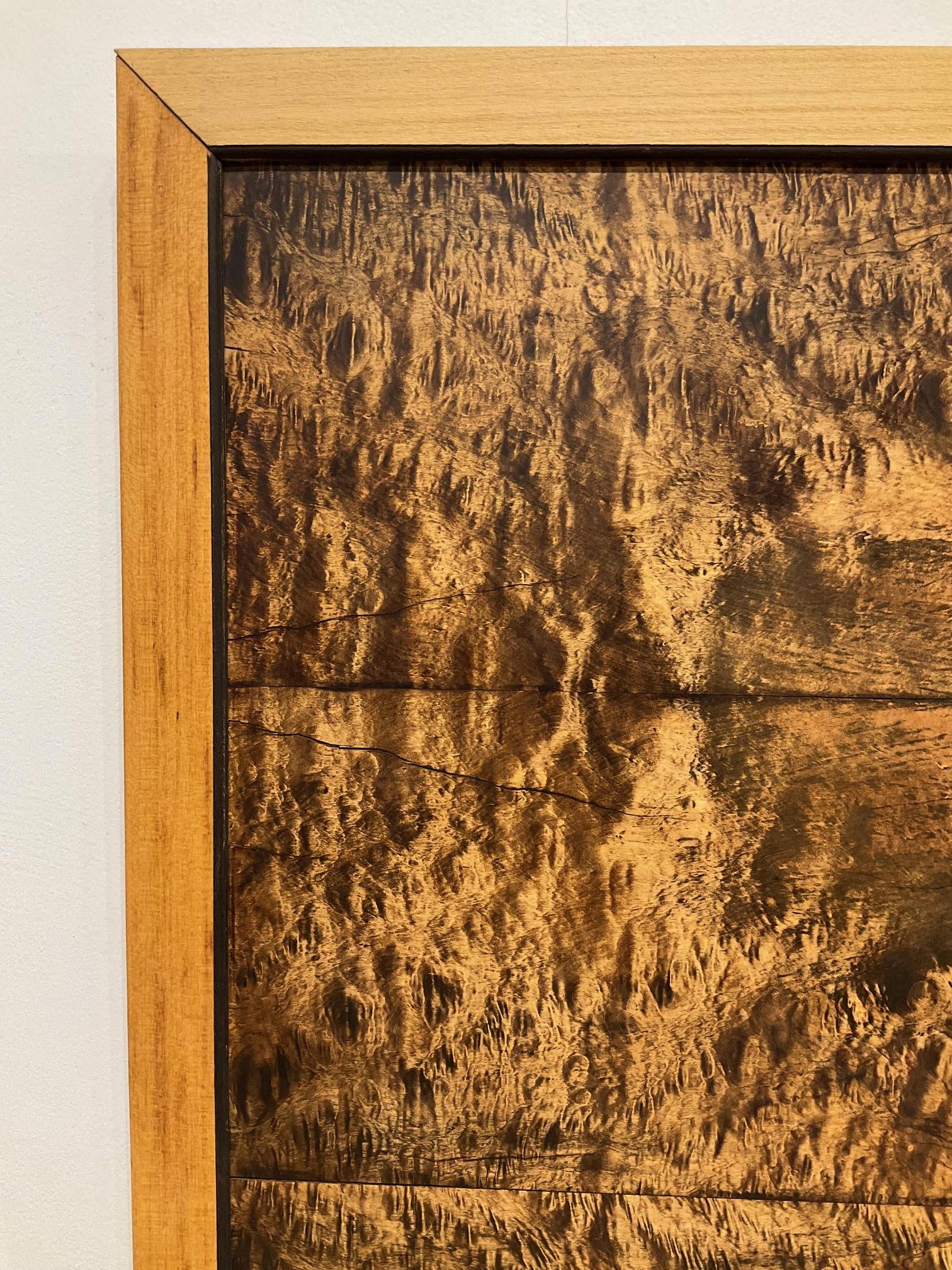 Ein spektakuläres Paar gerahmter massiver Wurzelholzpaneele, ursprünglich Teil eines traditionellen japanischen Tsuitate (einteiliger stehender Paravent), jetzt als skulpturale Wandkunst präsentiert. Jedes Paneel ist aus einer einzigen Platte aus