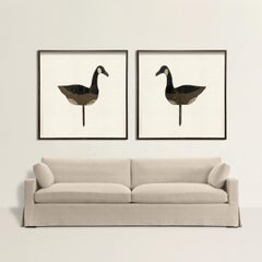 Pair of Framed Vintage American Canada Goose Decoys