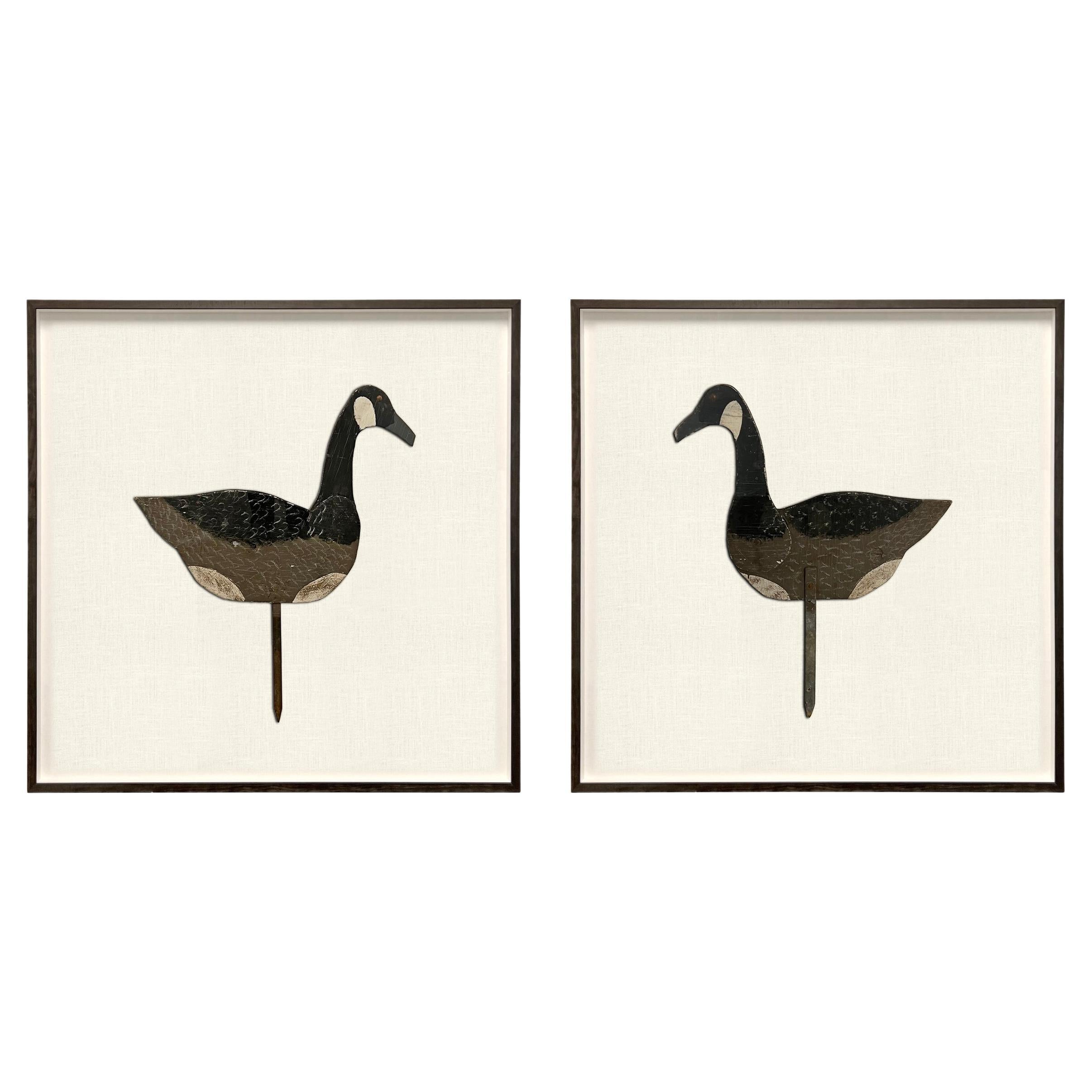 Pair of Framed Vintage American Canada Goose Decoys For Sale at 1stDibs |  vintage goose chicago