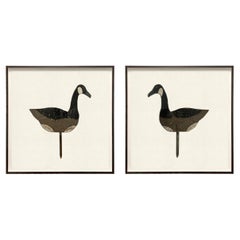 Pair of Framed Vintage American Canada Goose Decoys