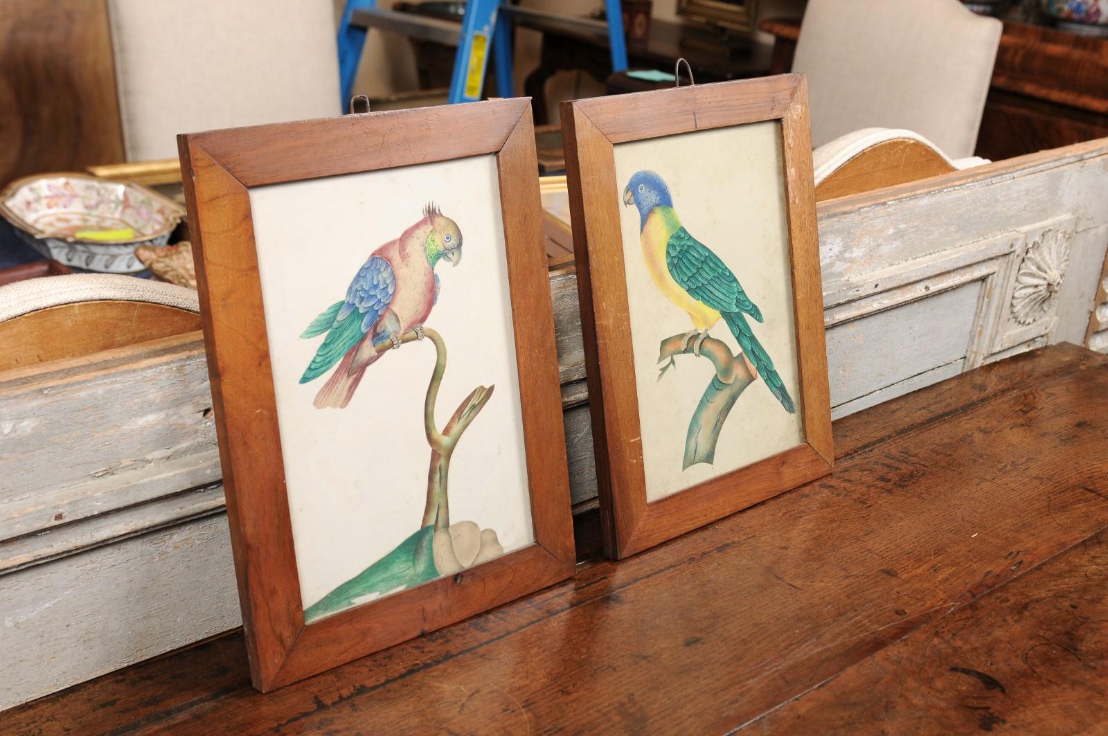 Pair of Framed Water Color Paintings of Tropical Birds, 19th Century 5