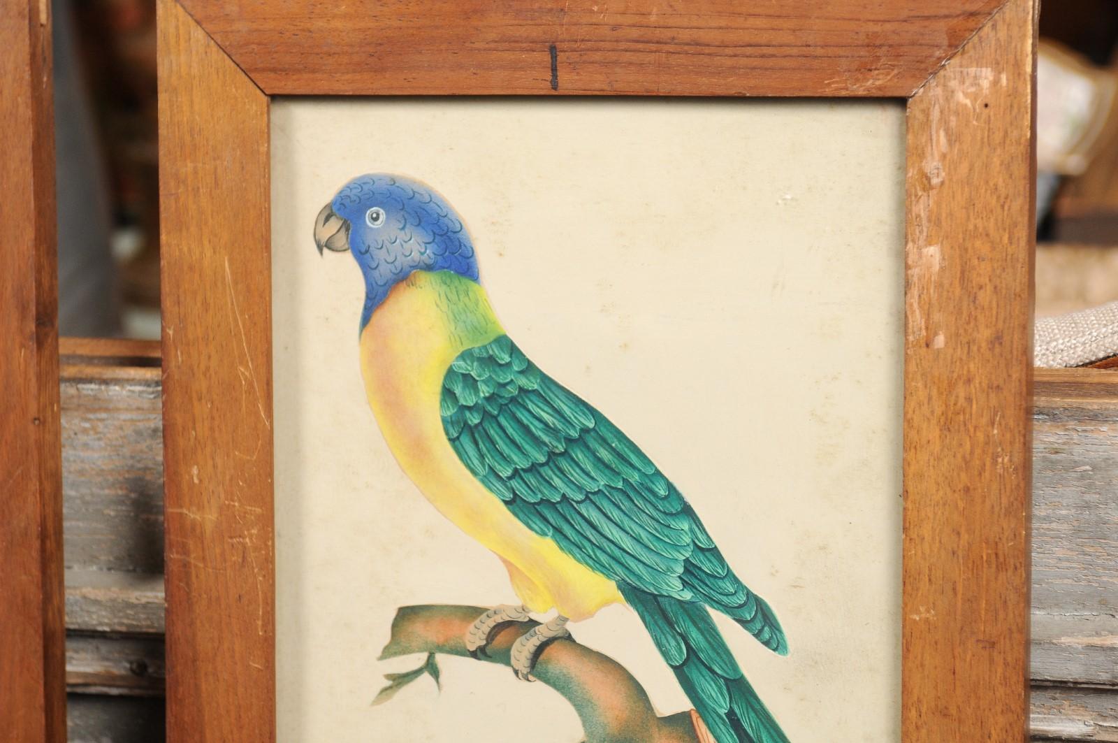 Pair of Framed Water Color Paintings of Tropical Birds, 19th Century 2