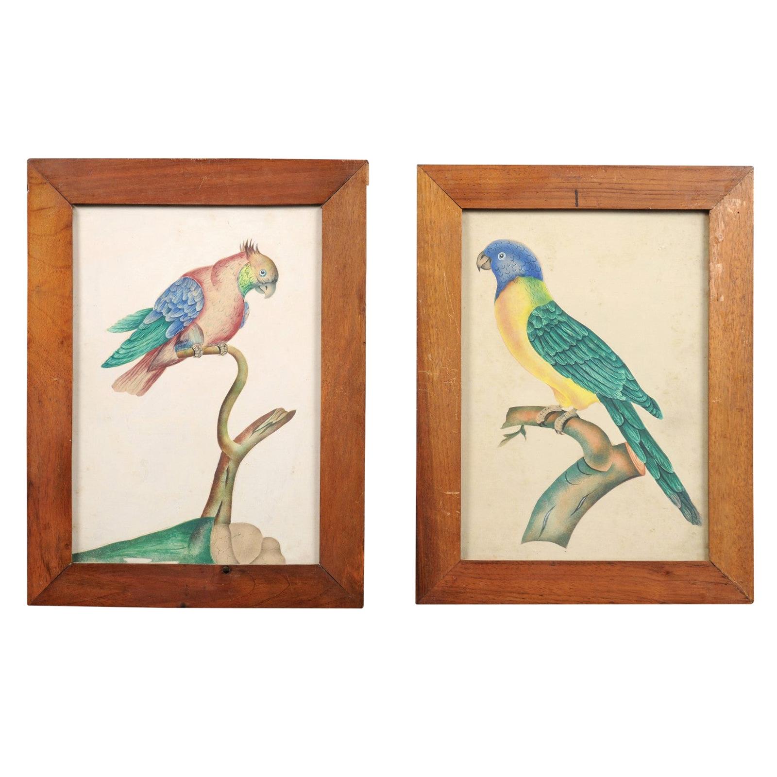 Pair of Framed Water Color Paintings of Tropical Birds, 19th Century