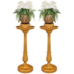 Pair of French 18th Century Louis XVI Period Giltwood & Patinated Wood Pedestals