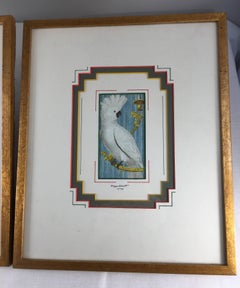 Pair of French 18th Century Martinet Bird Prints