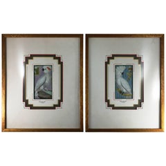 Pair of French 18th Century Martinet Bird Prints