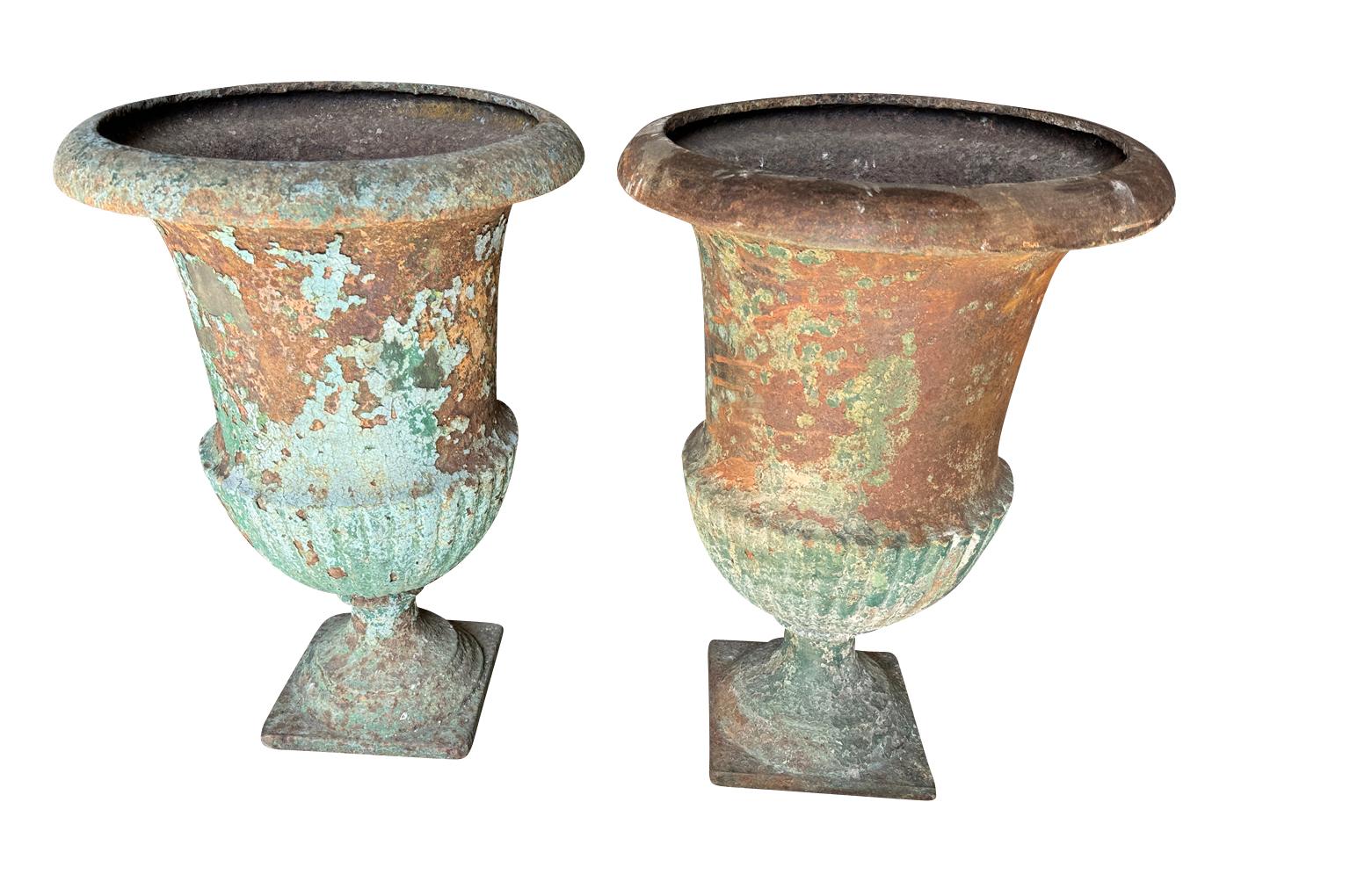A very handsome pair of 18th century Medici Urns - Jardinieres from the Provence region of France.  Beautifully crafted from iron with original paint.  Fabulous patina.