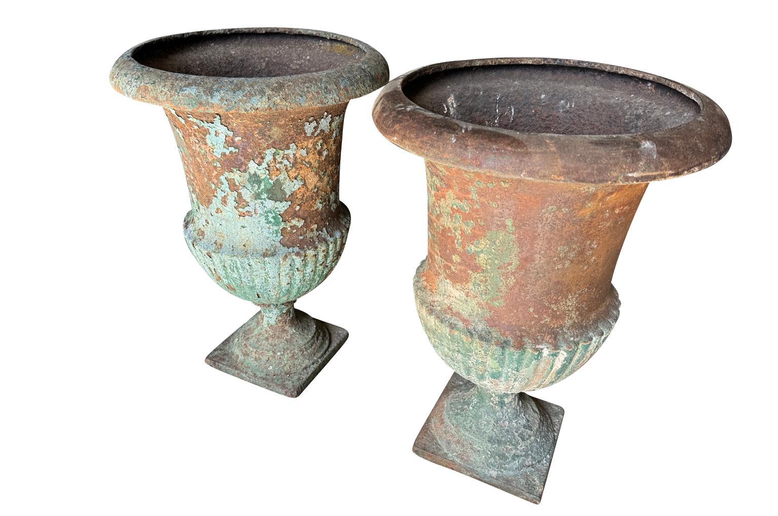 18th Century and Earlier Pair Of French 18th Century Medici Urns For Sale