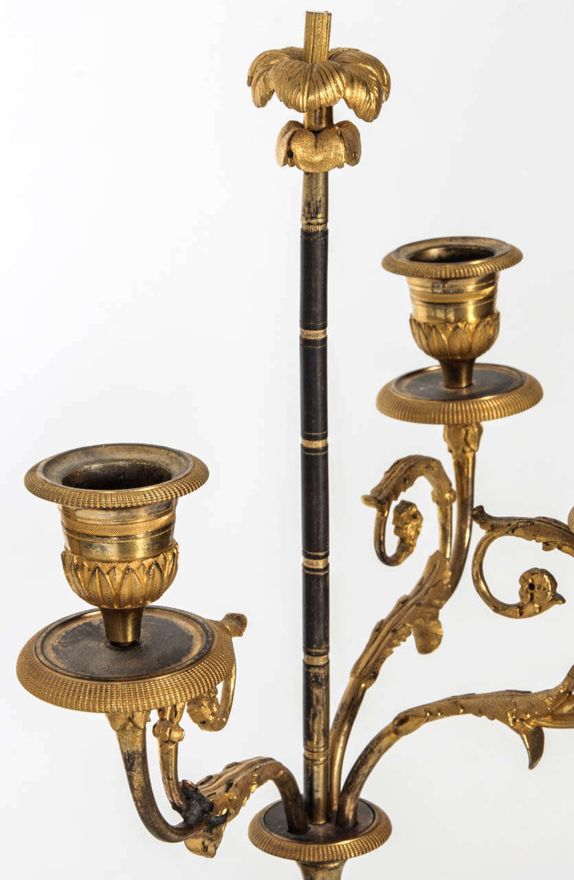Pair of French 18th Century Ormulu Gilded Bronze Candelabra 1