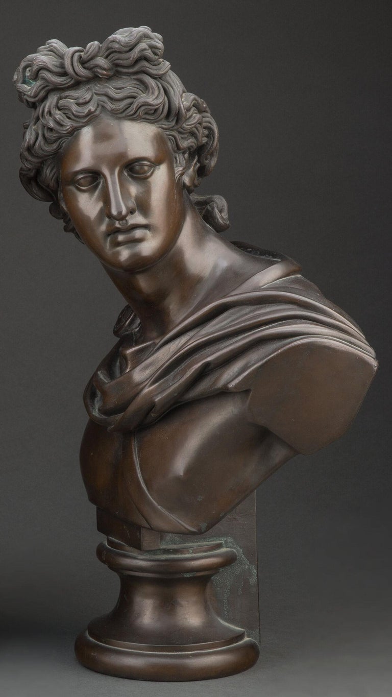 Pair of French 19 Century Apollo and Daphne Bronze Clad Busts For Sale ...